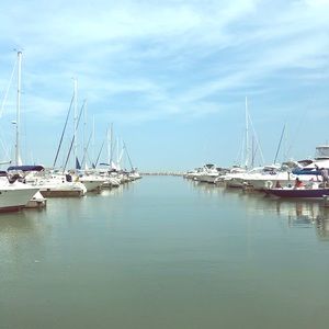 Meet your Posher, Bobbi